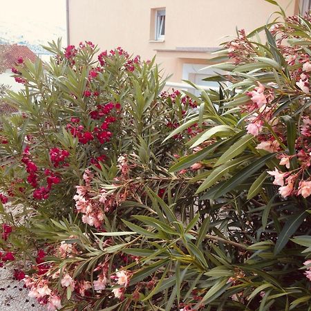 House Agradable Apartman Seget Vranjica Kültér fotó