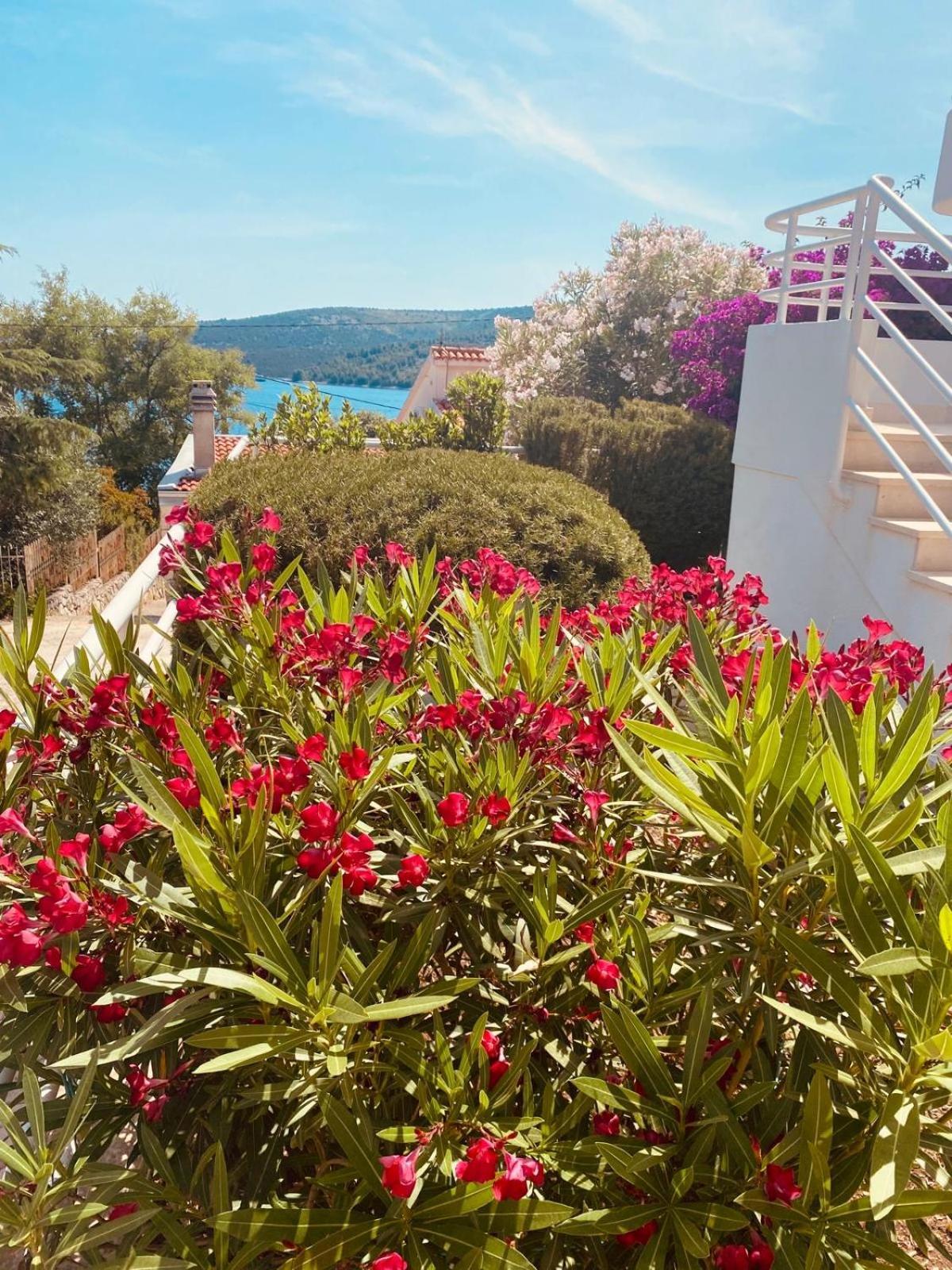 House Agradable Apartman Seget Vranjica Kültér fotó