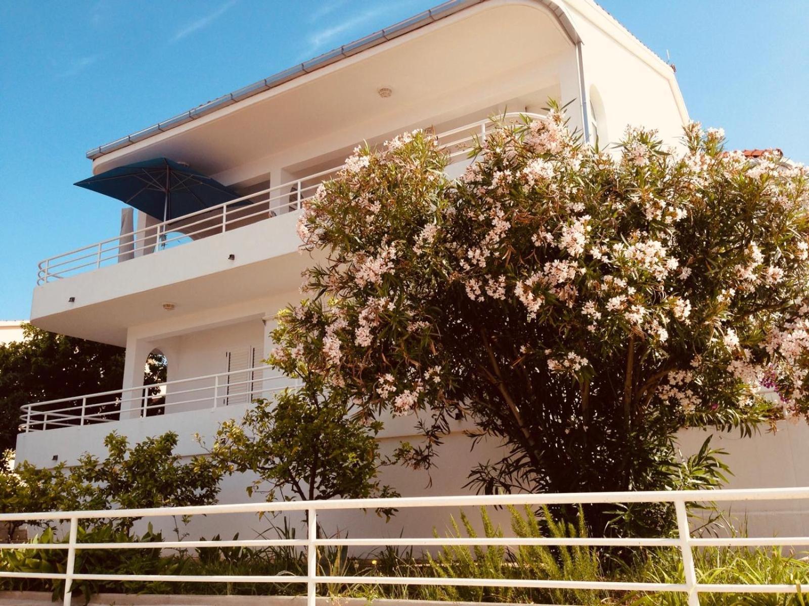 House Agradable Apartman Seget Vranjica Kültér fotó